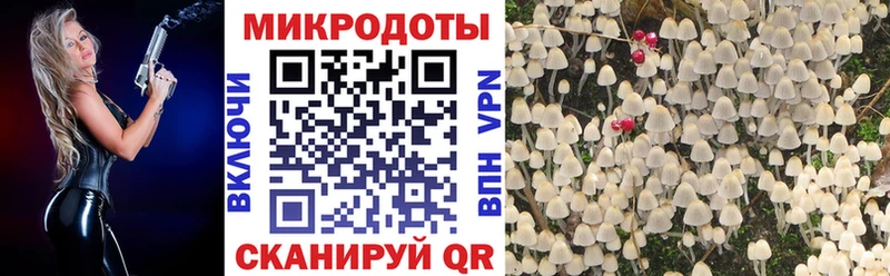 Псилоцибиновые грибы ЛСД  Шиханы 